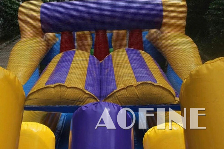 Backyard Obstacle Afp304