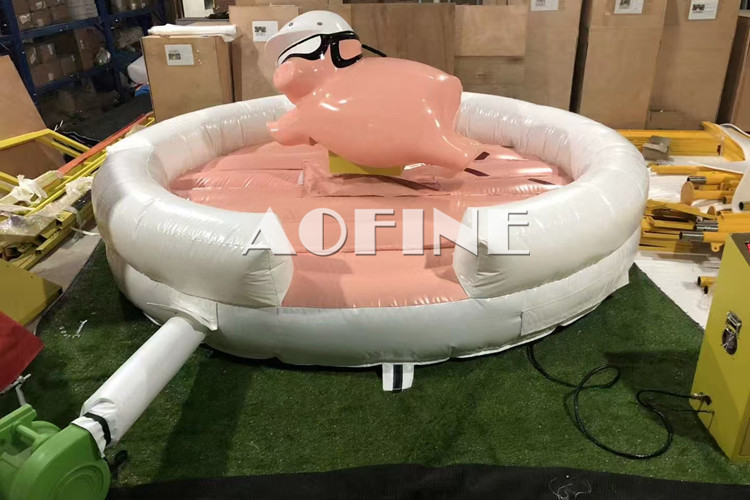 Lucky Pig Rding Afp212