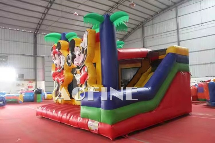Mickey Mouse Bouncer Combo Afc101