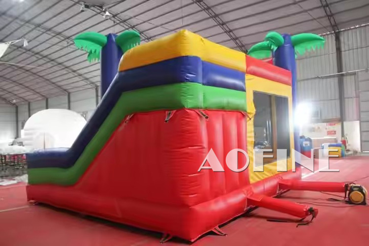Mickey Mouse Bouncer Combo Afc101