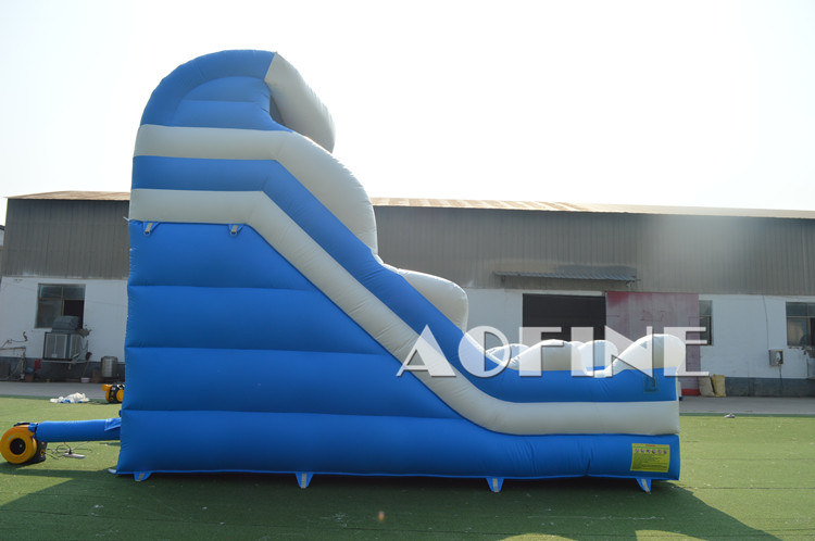 Blue Wave Slide Afs209