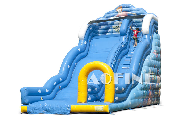 Big Wave Slide Afs214