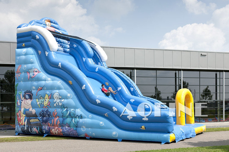 Big Wave Slide Afs214