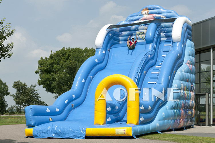 Big Wave Slide Afs214