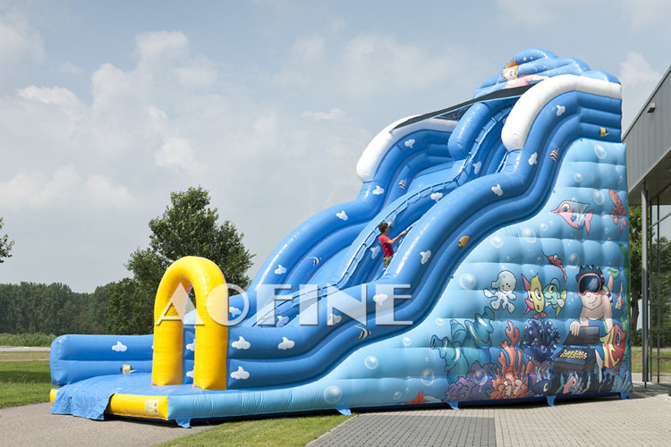 Big Wave Slide Afs214