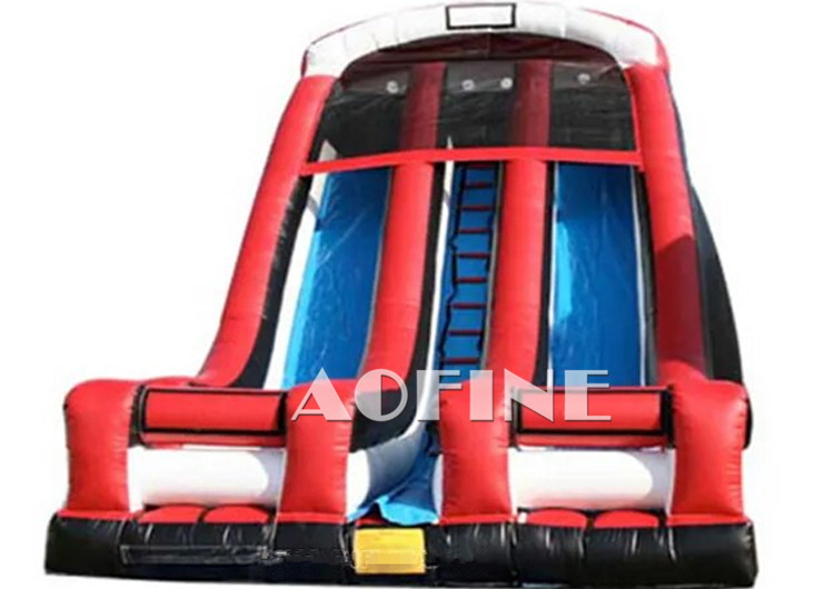 Backyard Dual Lane Slide Afs215