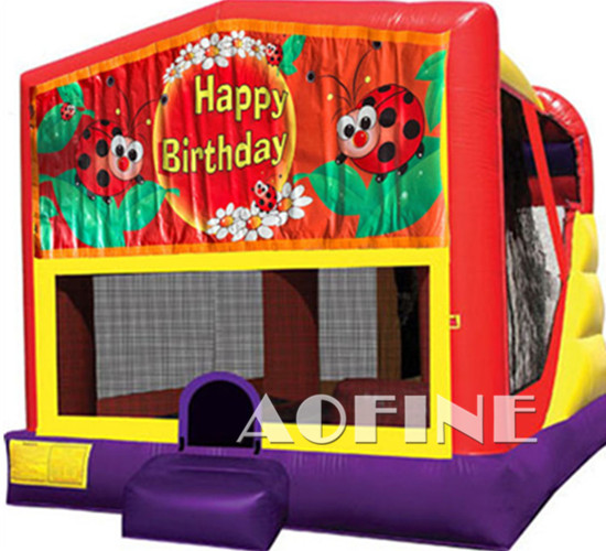 Birthday Bouncer Afc203