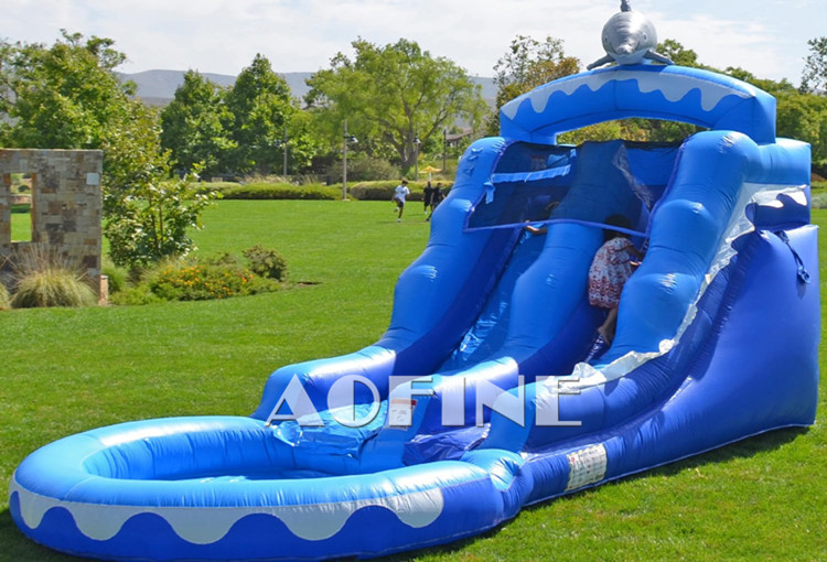 Dolphin Water Slide Afs05