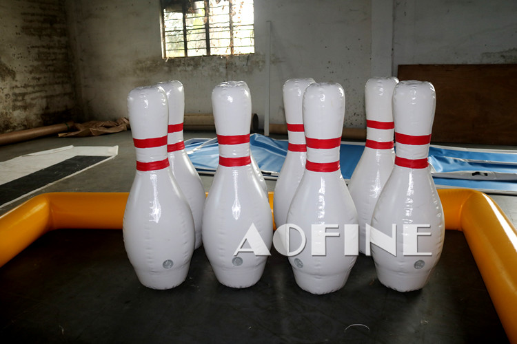 Bowling Pin and Track Afp100