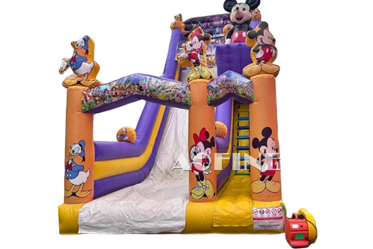 Minnie Dry Slide Afs224