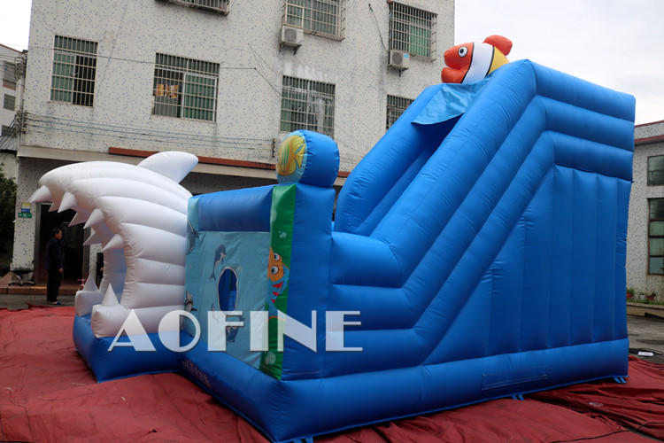 Ocean Playground Afl104