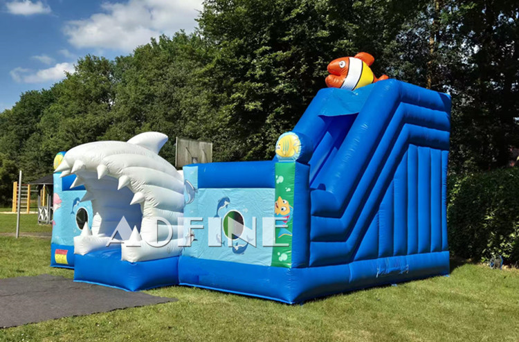 Ocean Playground Afl104