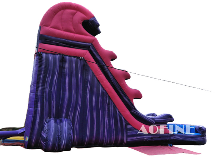 Purple Wave Water Slide Afs199