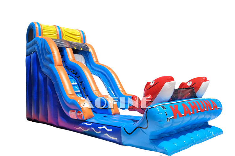 Kahuna Water Slide Afc194