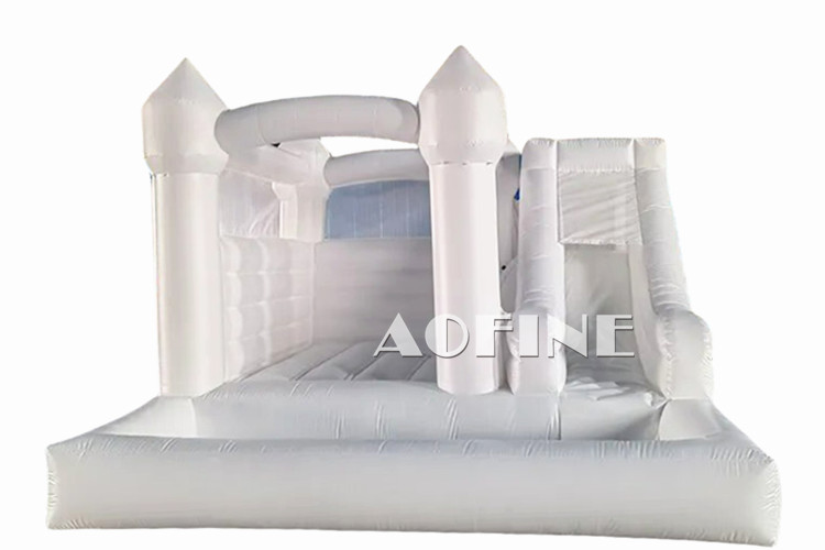 Bouncer Slide Pool Afc501