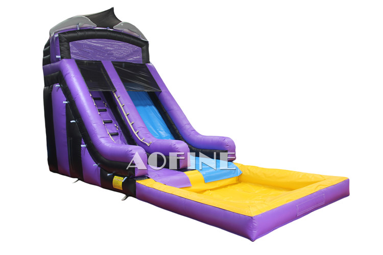 Dolphin Water Slide Afs177