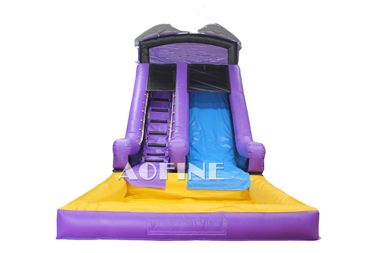 Dolphin Water Slide Afs177