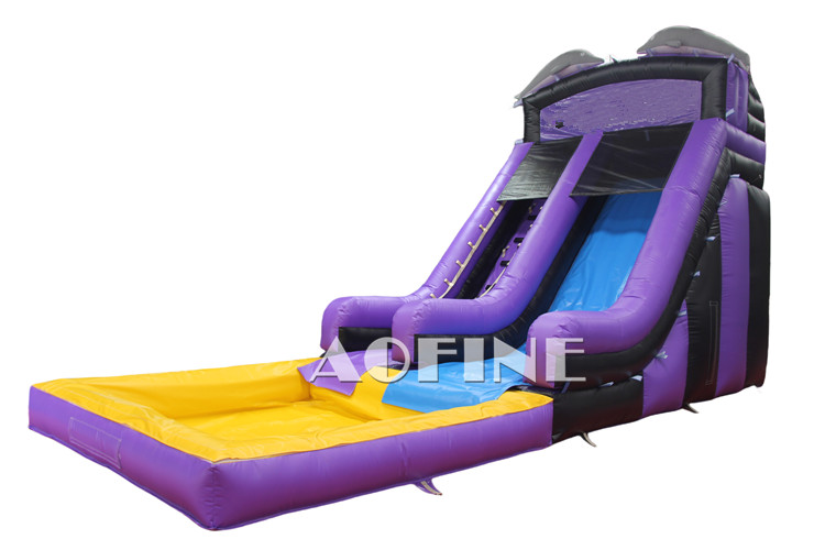 Dolphin Water Slide Afs177