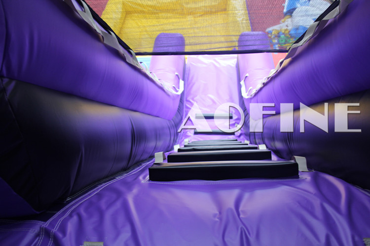 Dolphin Water Slide Afs177