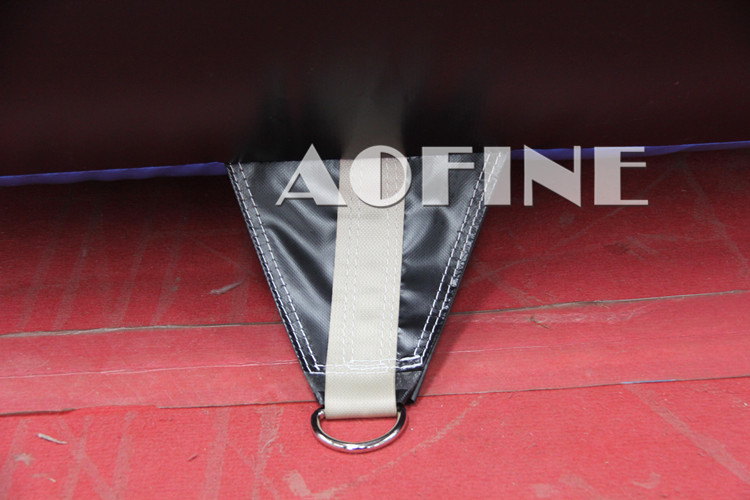 Dolphin Water Slide Afs177