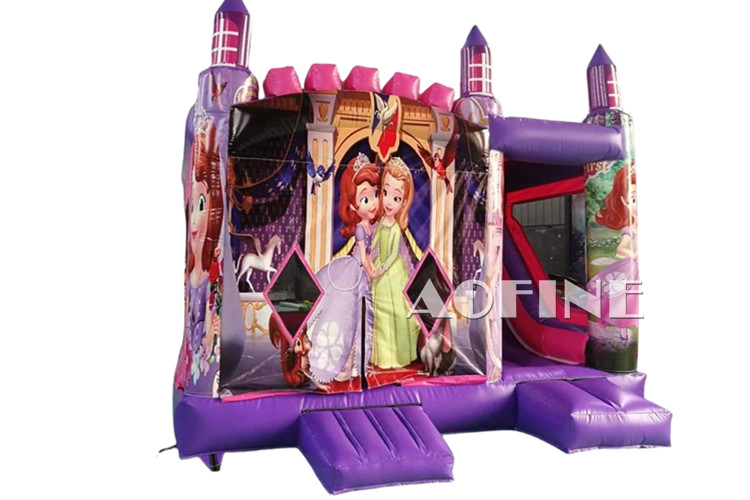 Princess Bouncer Slide Afc187