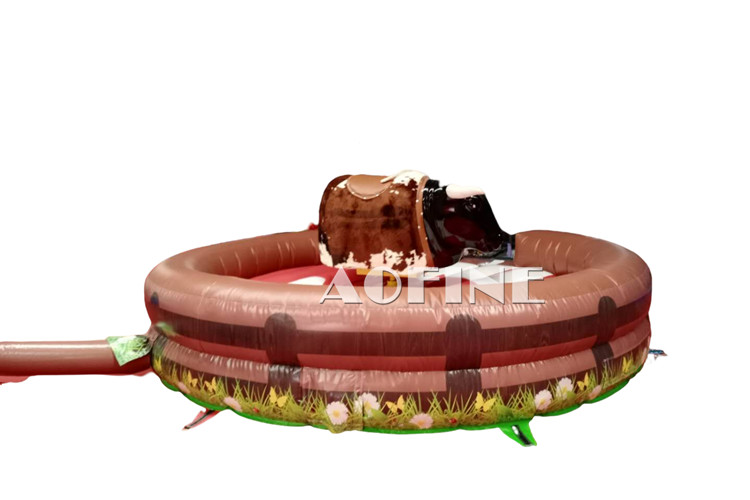 Rodeo Bull Riding Afp213