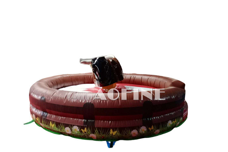 Rodeo Bull Riding Afp213