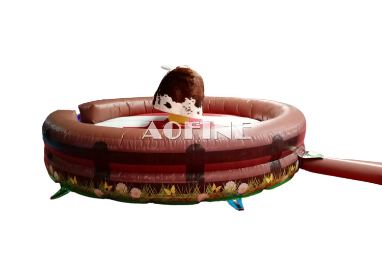 Rodeo Bull Riding Afp213