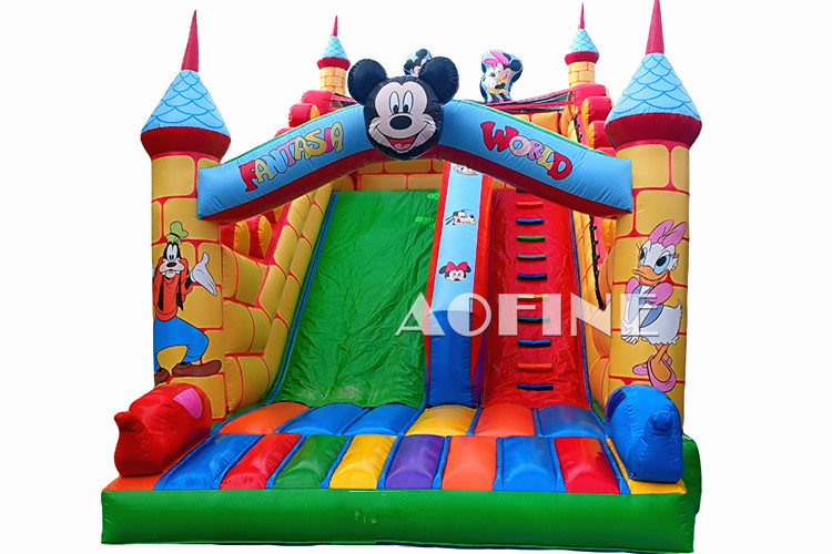 Inflatable Slide Afs254