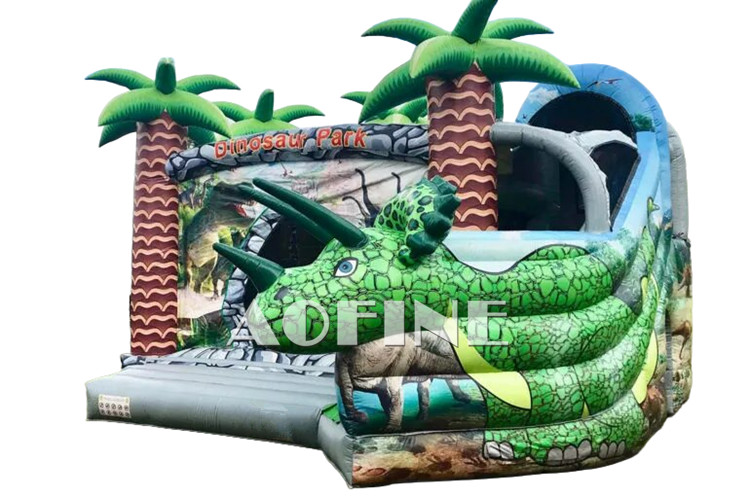 Dragon Bouncy Castle Afc175
