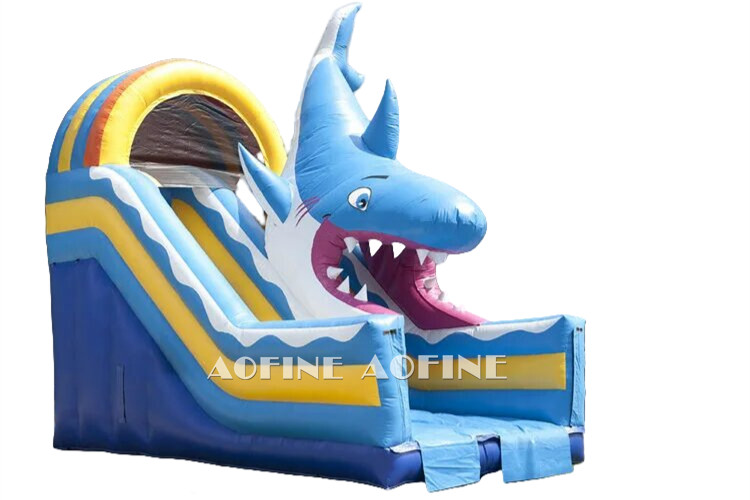Shark Slide with Playzone Afs256